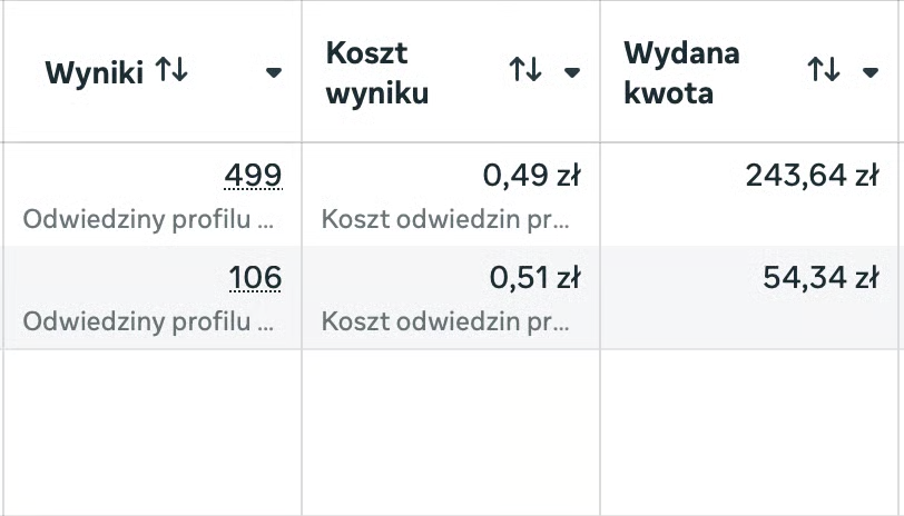 499 i 106 odwiedzin profilu w dwóch kampaniach